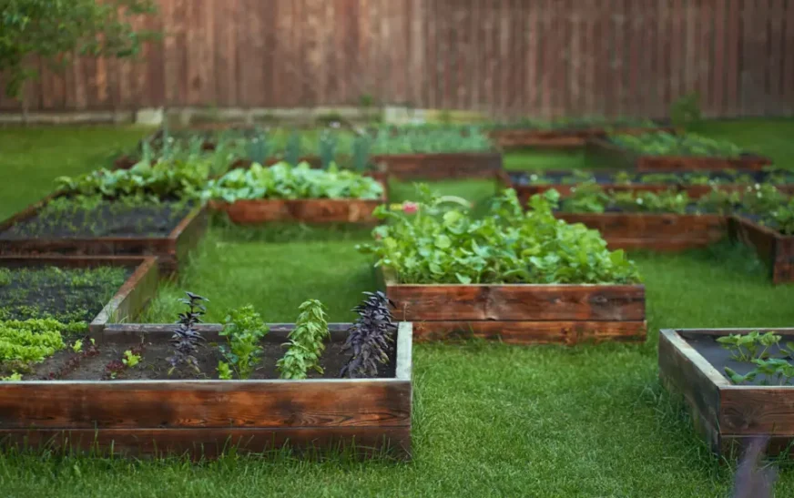 Gardening Tips for Beginners: Step-by-Step Guide to Start a Thriving Home Garden in 2026