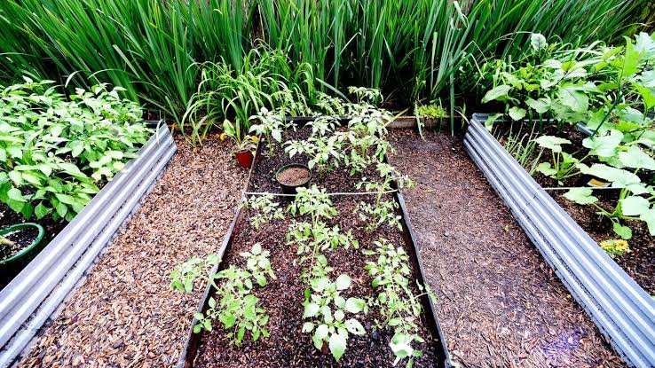 Garden Planning