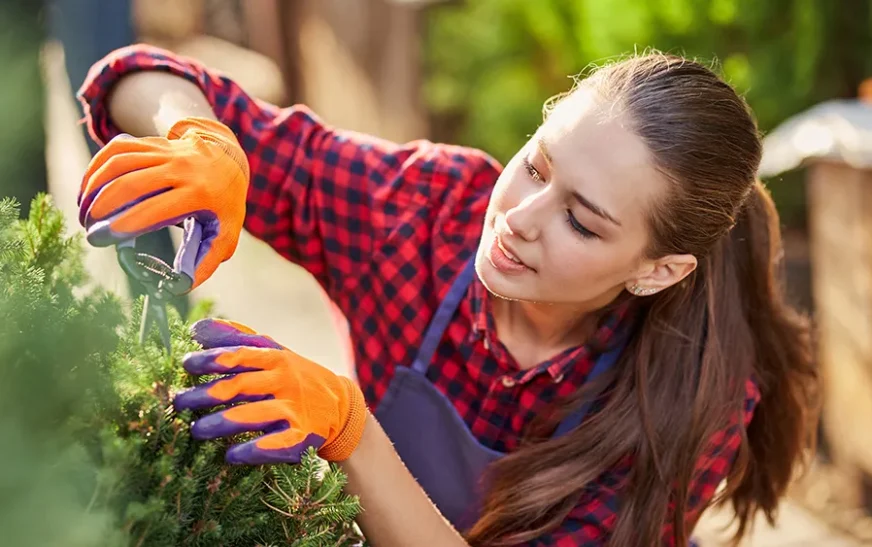 Garden Care & Maintenance: Your Healthy and Beautiful Garden