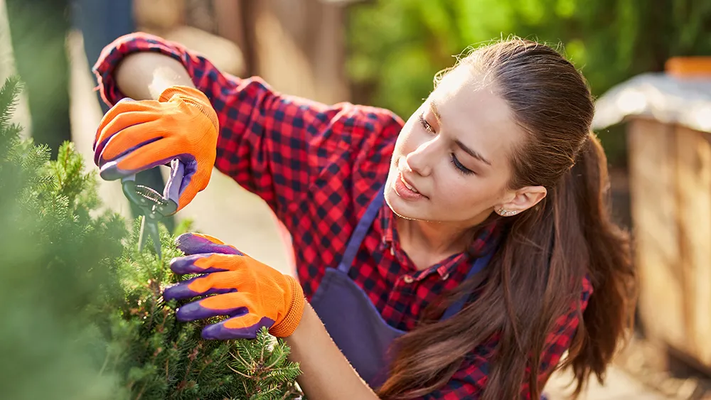 Garden Care & Maintenance: Your Healthy and Beautiful Garden