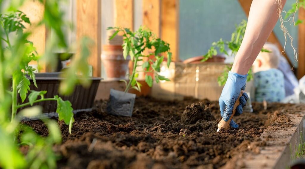 platt-hill-basic-garden-maintenance-person-digging-in-garden-bed
