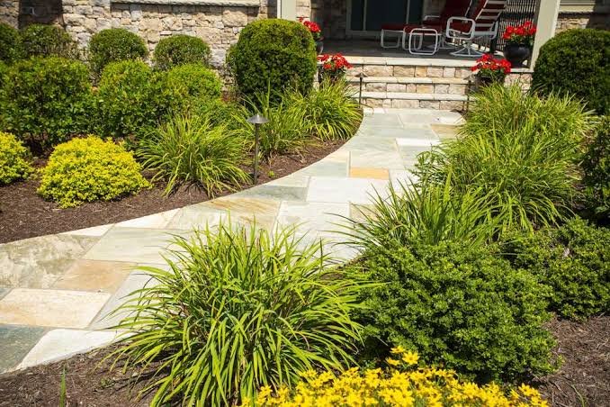front-fntrance-walkway-ideas